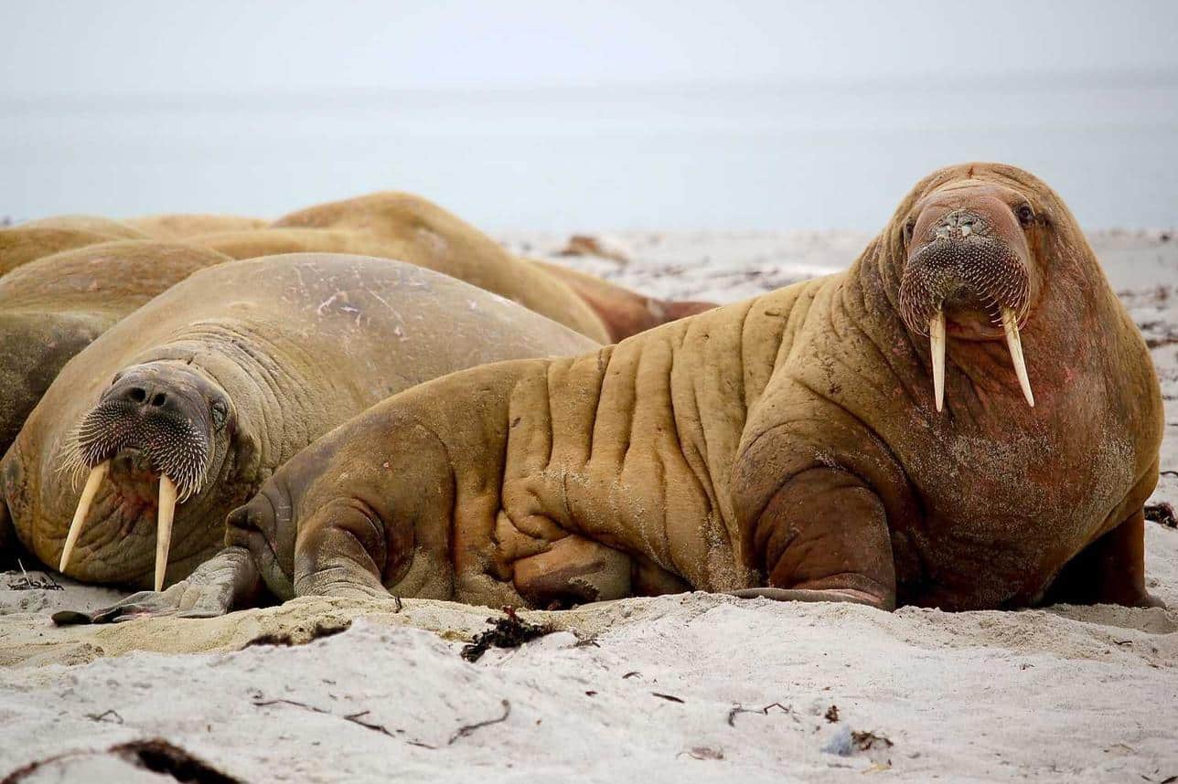 Quo expedita quam distinctio aspernatur consequatur molestiae laudantium autem quo laborum